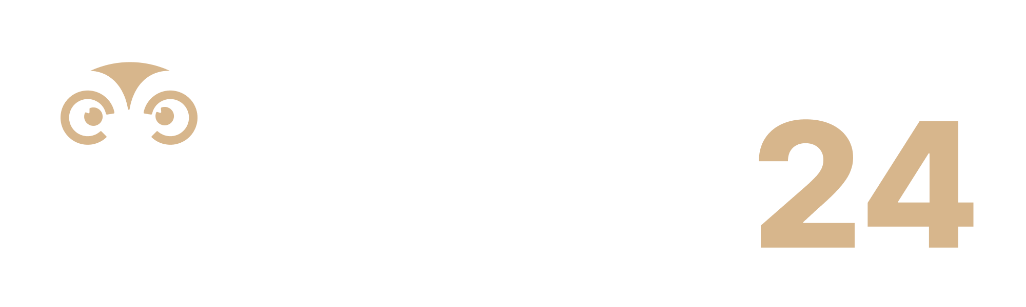 WiseFirm24 Logo